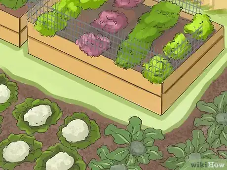Image titled Make a Small Vegetable Garden Step 8
