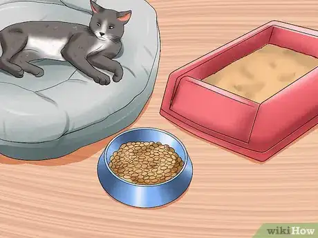 Image titled Treat Feline Glaucoma Step 5