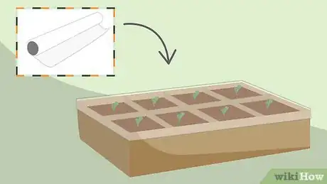 Image titled Plant Seeds in a Basic Seed Tray Step 12
