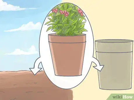 Image titled Grow Oleanders from Cuttings Step 10