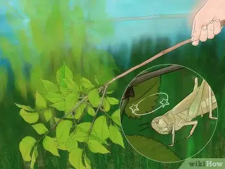 Image titled Eat an Insect or Arachnid Step 5