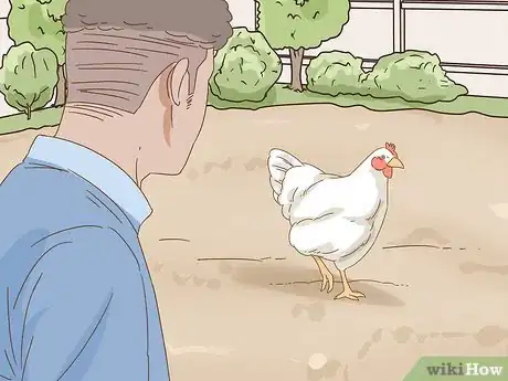 Image titled Keep a Pet Chicken Step 9