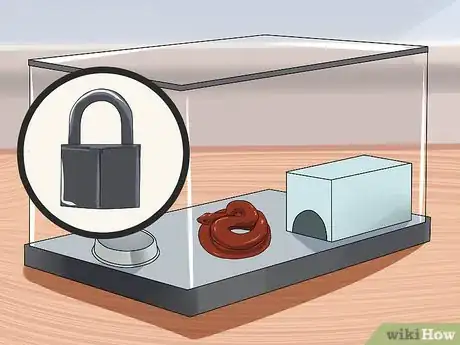 Image titled Look After a Venomous Snake Step 8