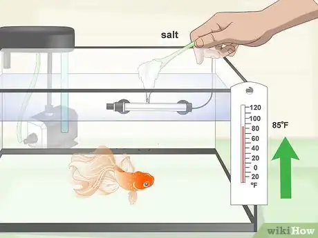 Image titled Care for Fancy Goldfish Step 22
