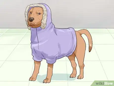 Image titled Dress Your Dog Step 5