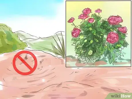 Image titled Plant Peonies Step 4