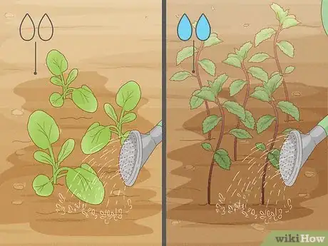 Image titled Grow an Herb Garden Step 13