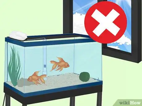 Image titled Clean an Aquatic Moss Ball Step 7