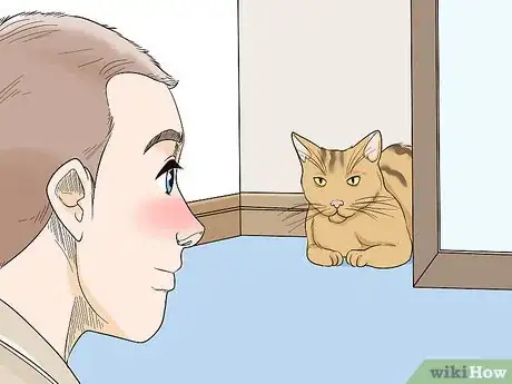 Image titled Include Your Cat in a Disaster Preparedness Plan Step 4