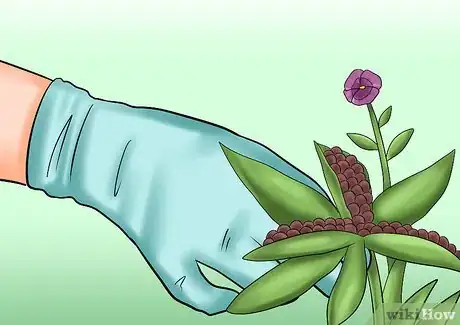 Image titled Cut from a Pansy Plant Step 14Bullet1