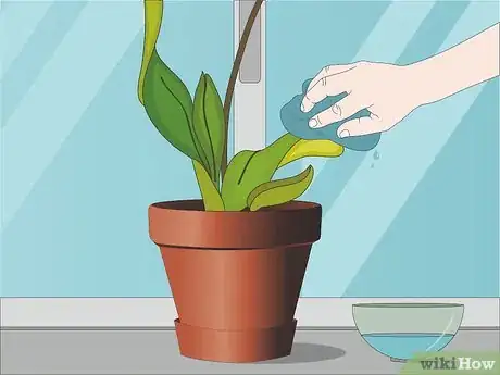 Image titled Care for Orchids Step 11