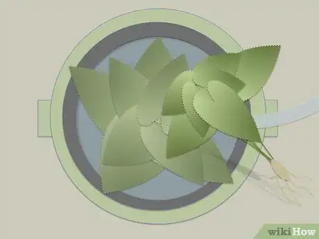 Image titled Make One Plant Hydroponics Step 15