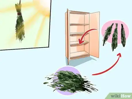 Image titled Grow Tarragon Step 14