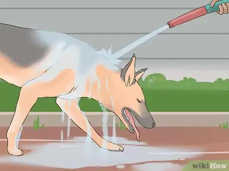 Image titled Eliminate Skunk Odor Step 11