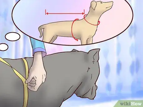 Image titled Choose a Good Dog Sweater Step 4