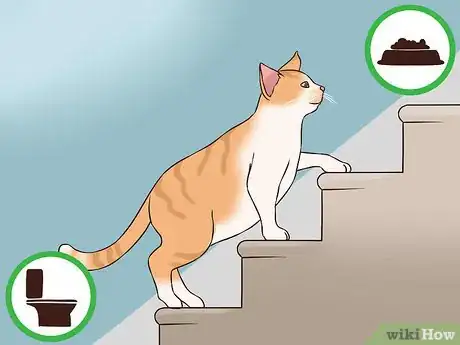 Image titled Treat Obesity in Cats Step 8