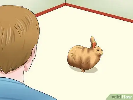 Image titled Care for Satin Angora Rabbits Step 15