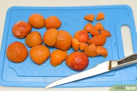 Image titled Make Apricot Glaze Step 1