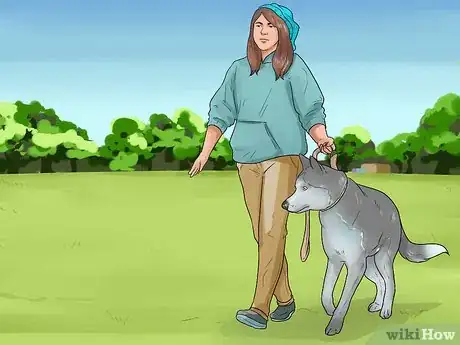 Image titled Show Your Dog Where He Is in the Pack Step 7