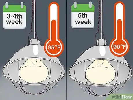 Image titled Raise Quail for Eggs Step 15