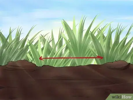 Image titled Grow Geraniums Step 5