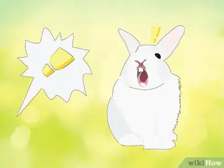 Image titled Address Biting and Aggressive Behavior in a Rabbit Step 5