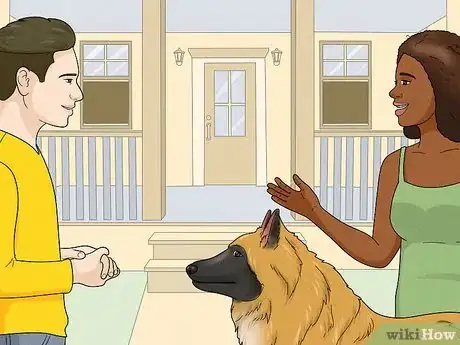 Image titled Identify a Belgian Tervuren Dog Step 12