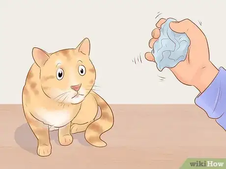 Image titled Take Action Photos of a Cat Step 16