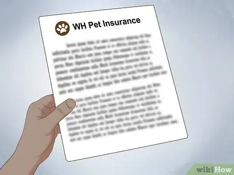 Image titled Exercise a Senior Dog on a Water Treadmill Step 3