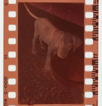 Image titled 247 Project365 7235