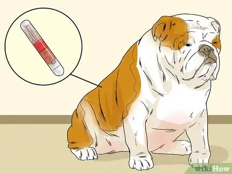 Image titled Choose Gifts for New Dog Owners Step 11