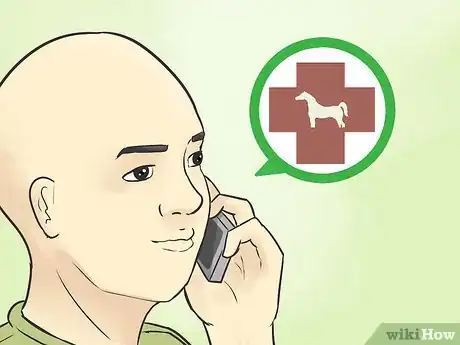 Image titled Choose a Vet for Your Horse Step 5