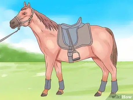 Image titled Choose Your Horse Step 2