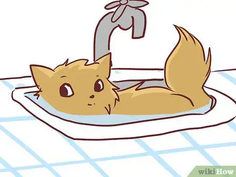 Image titled Bathe a British Shorthair Step 7