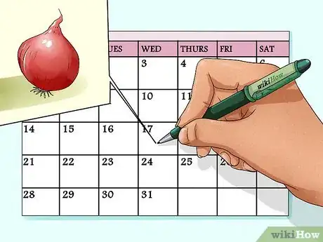 Image titled Grow Onions from Seed Step 2