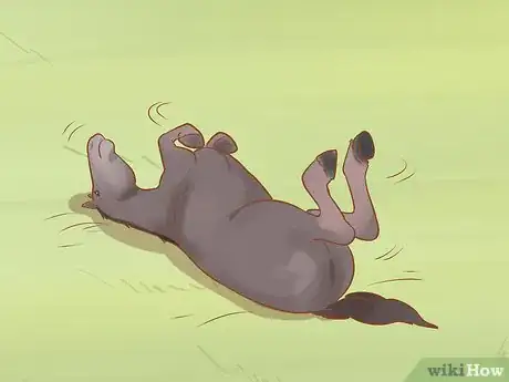 Image titled Uncast a Horse Step 6