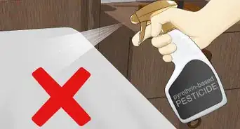 Make Bed Bugs Come Out of Hiding