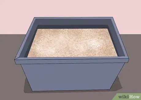 Image titled Grow and Care for Asiatic Lilies Step 9