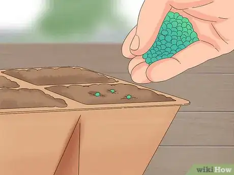 Image titled Grow Dichondra Step 4