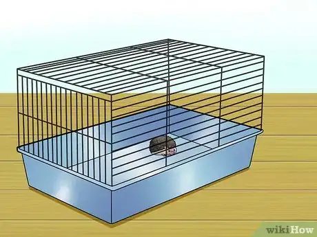 Image titled Help Your Hedgehog Get Used to Handling Step 14