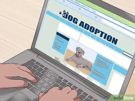 Image titled Handle a Dog Given to You As a Gift Step 14