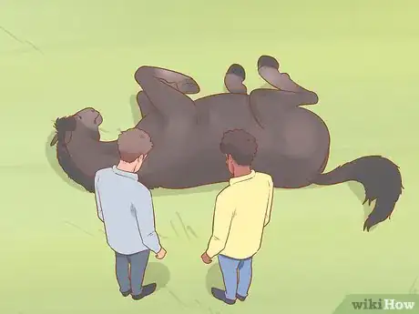 Image titled Uncast a Horse Step 3