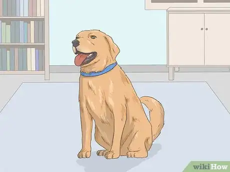 Image titled Train Seizure Alert Dogs Step 3