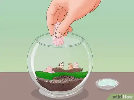 Image titled Make Moss Terrariums Step 12