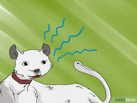 Image titled Look After a Deaf Ferret Step 7