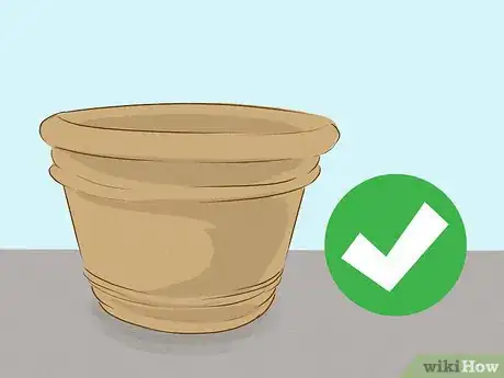 Image titled Choose Japanese Maple Trees Step 3