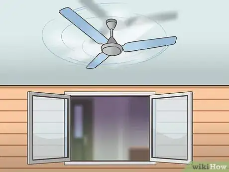 Image titled Eliminate Skunk Odor Step 16