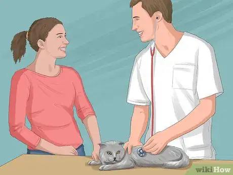 Image titled Have a Successful Visit to the Vet Step 12