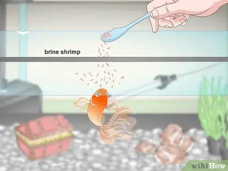 Image titled Care for Fancy Goldfish Step 16