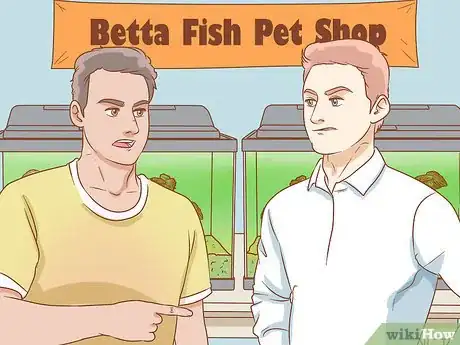 Image titled Help Pet Shop Bettas Step 3